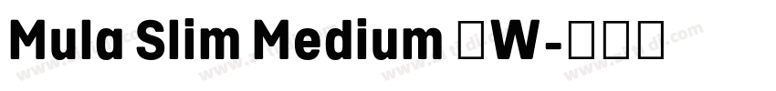 Mula Slim Medium 中W字体转换